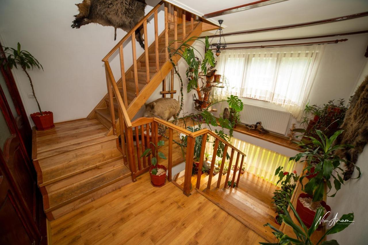 Hotel Casa Binu Arieşeni Exteriér fotografie